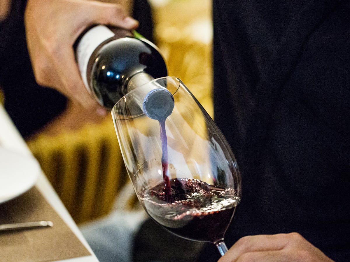 每天认识一种水果,每天认识一件国宝