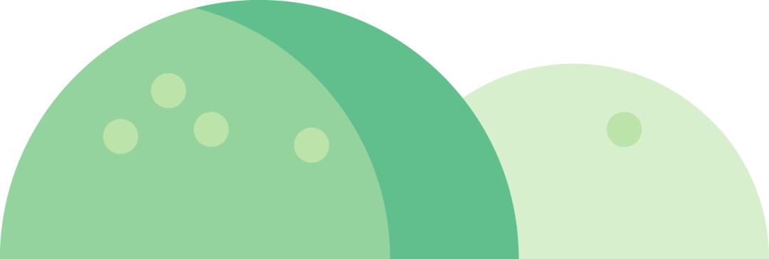 全国青少年棒球公开赛华南赛区,2024青少年棒球公开赛赛事报名