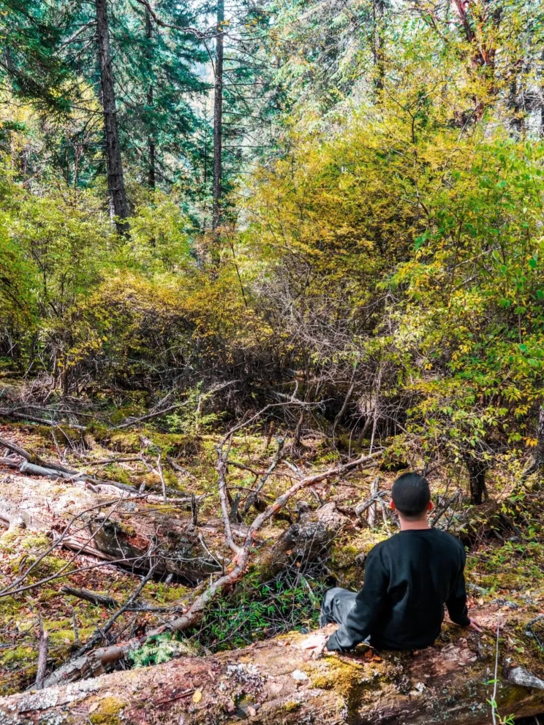 成都秋天一天游最佳地方,成都周边一日游自驾秋天