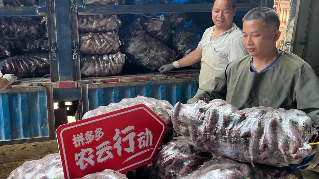 电商助力乡村振兴案例,乡村振兴创新创业电商助农视频