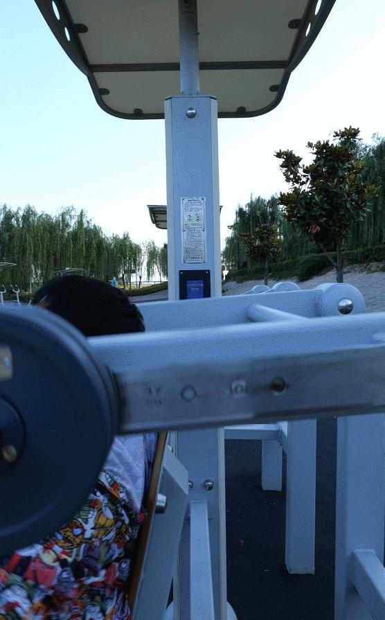 西安最大花海公园,西安周边的自然景观公园