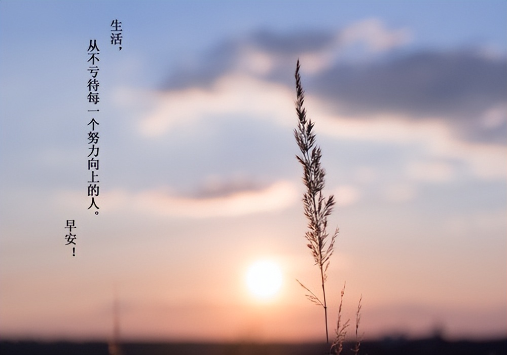 祝福的话简短暖心女人,适合祝福女性简短走心的句子