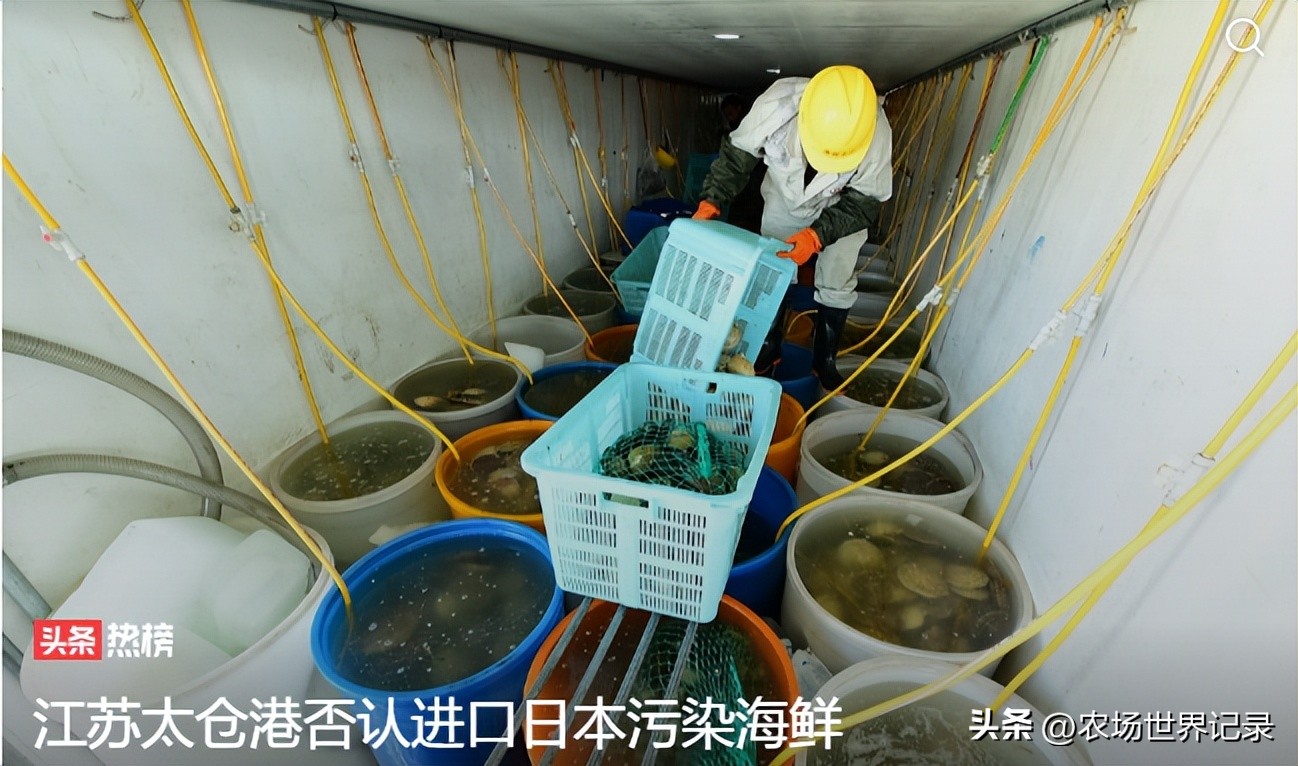 如何看待进口日本海鲜,中国进口日本海鲜都有哪些