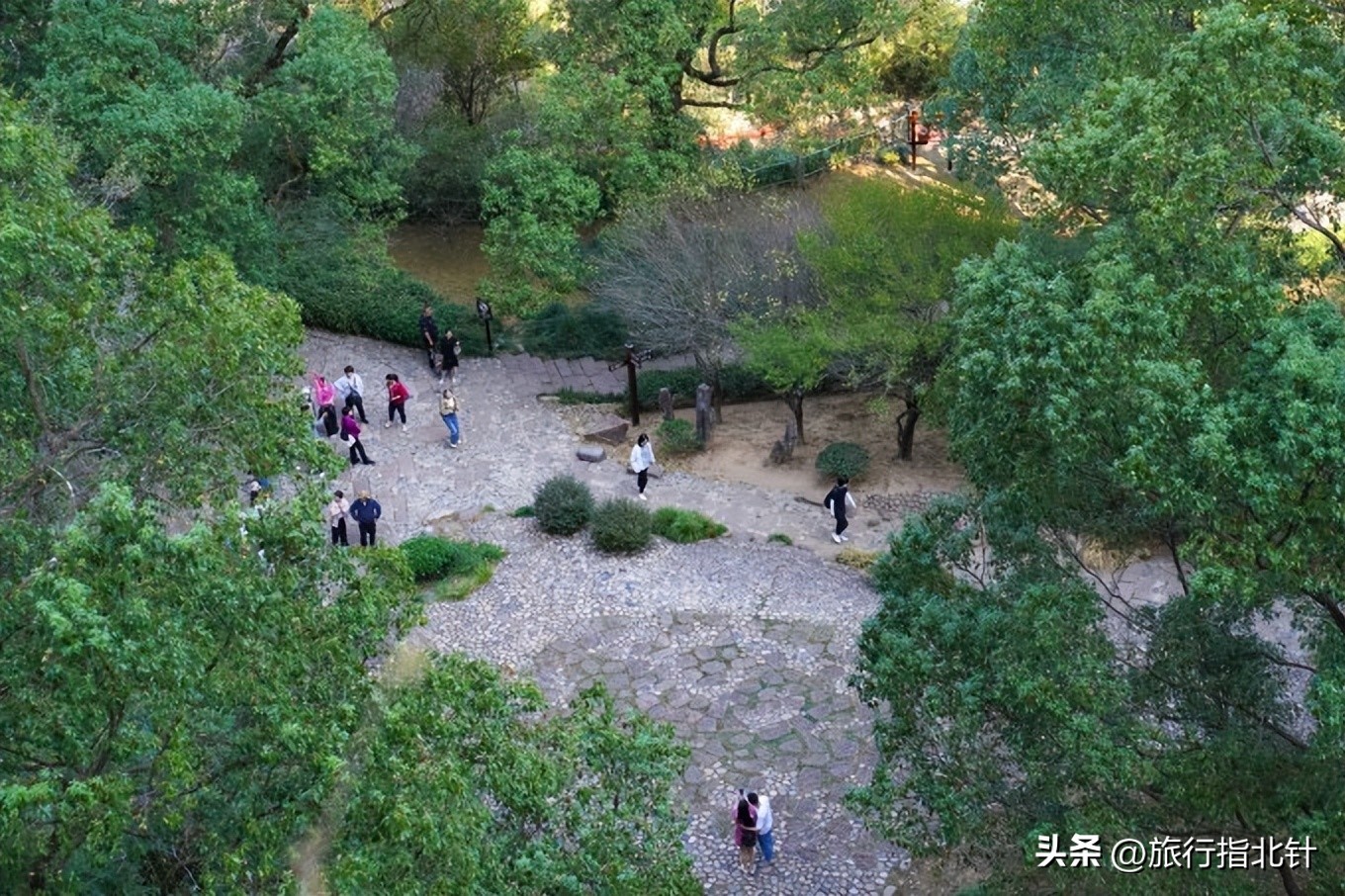 福建旅游攻略武夷山,福建武夷山旅游攻略一日游