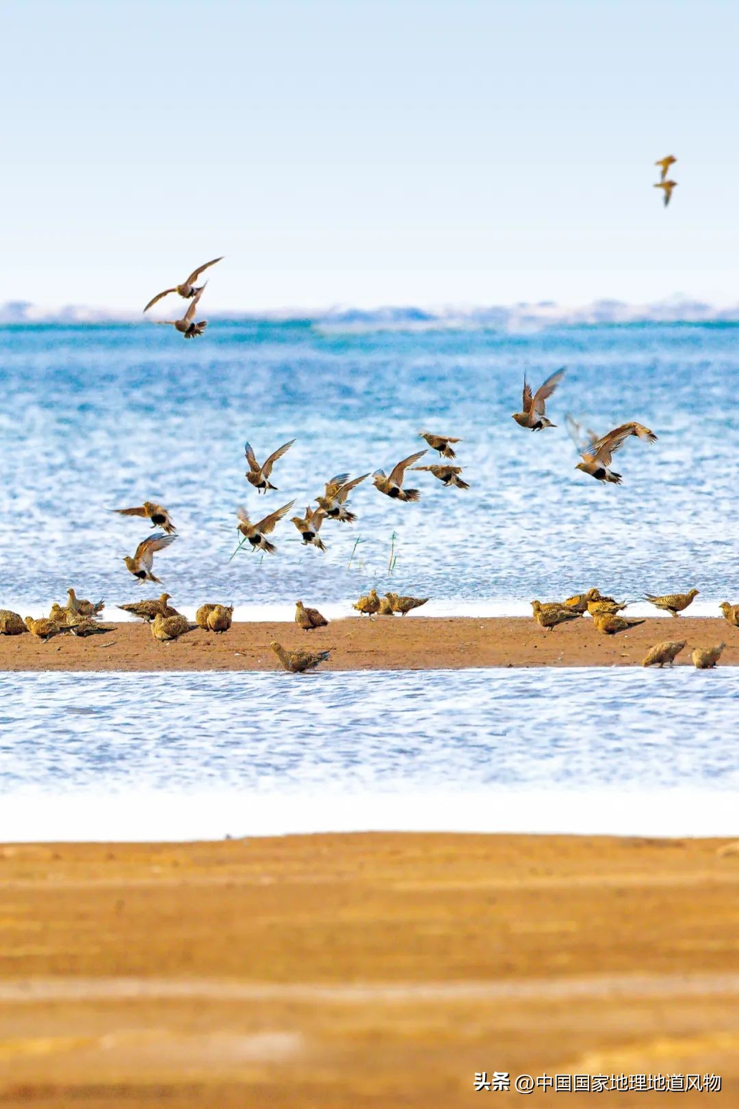 内蒙古东西差异有多大,你以为的内蒙古和现实中的内蒙古