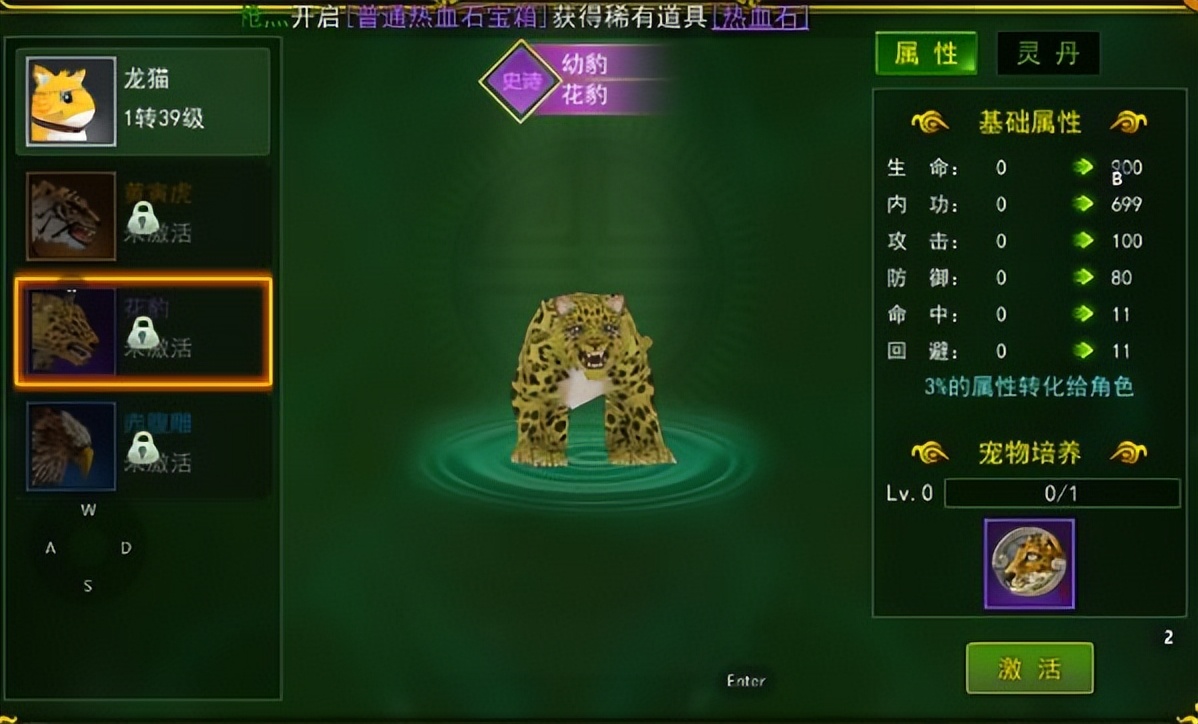 网游热血江湖宠物,热血江湖宠物银狼