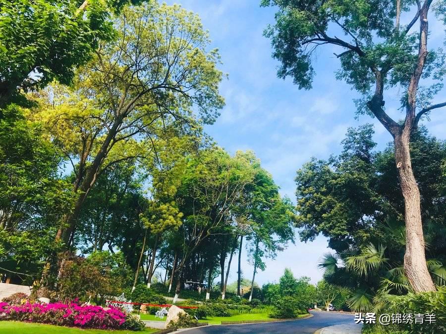 青羊区最美公园景点在哪里,5月份成都市区最美公园