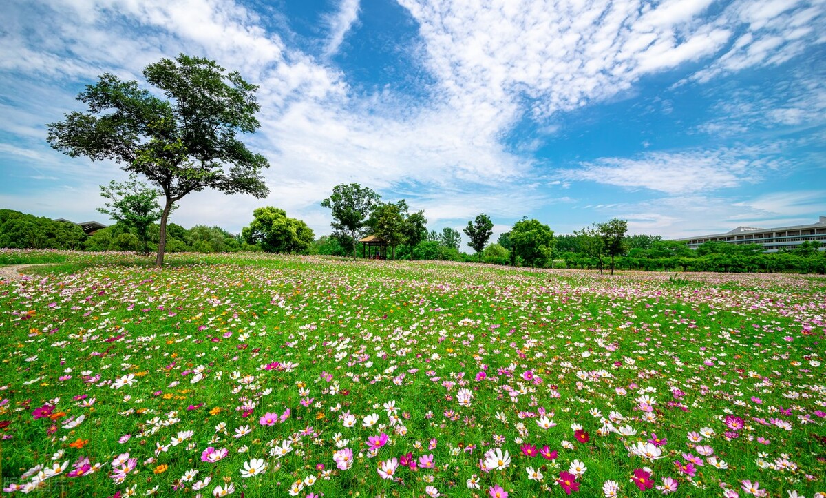 春季高考可以上中医学专业本科吗,文科生可以报的中医学专业的学校
