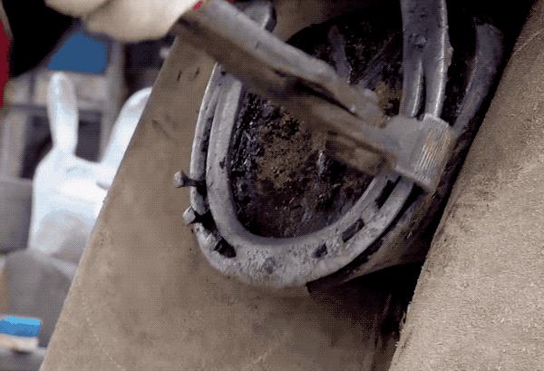 马为什么要钉马蹄铁,给马钉马蹄铁的视频