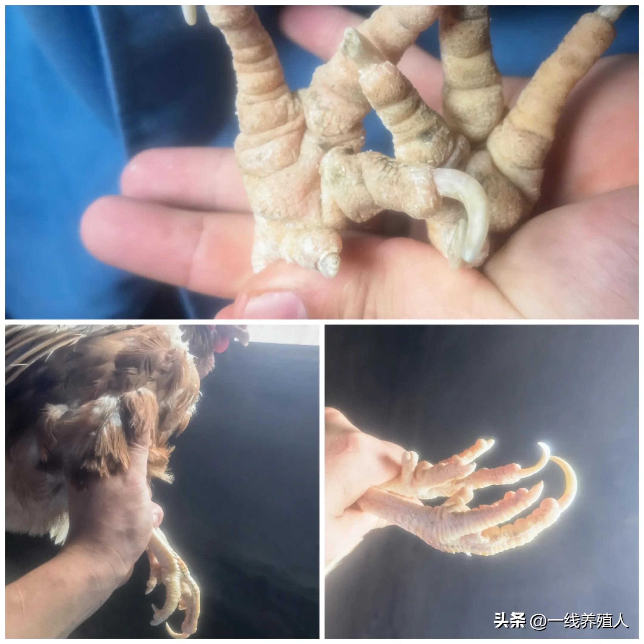 学会这七点买茶再也不踩坑,学会这几点你的生意从此不再难做