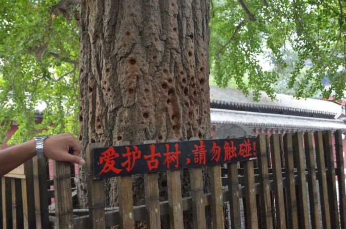 展示时间的画面的钟,展示时间的视频