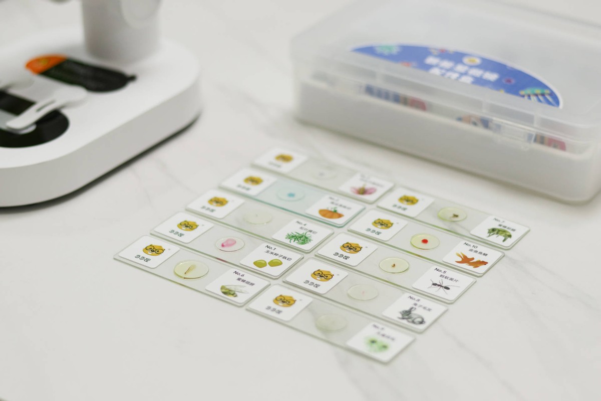 孩子从沉迷手机到主动学习,孩子从玩手机到认真学习的蜕变