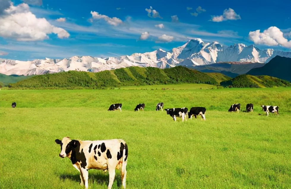 雅培奶粉出什么问题,雅培奶粉问题事件