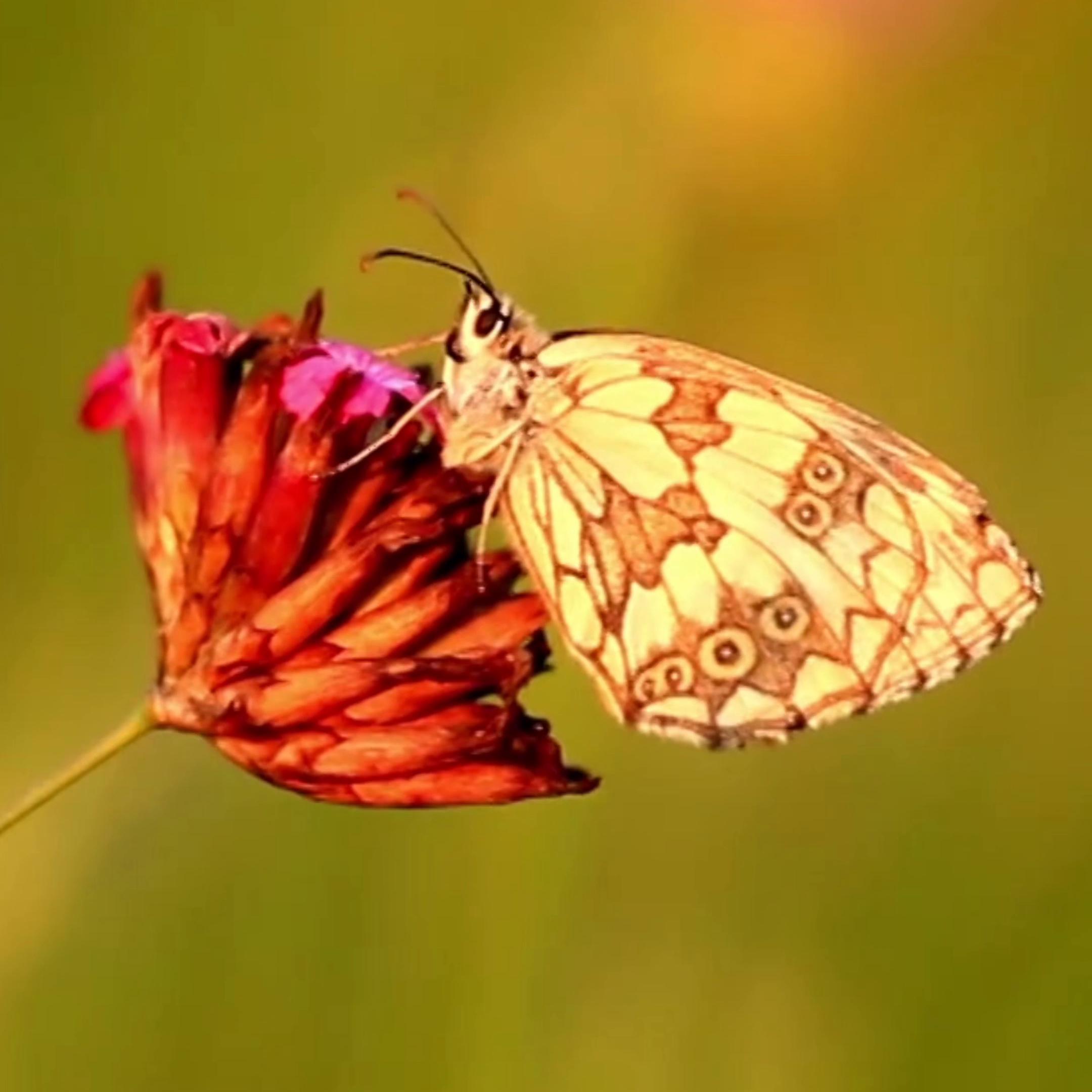 很多女生在的时候，速度非常快，却不知道洗干净的程度有多...