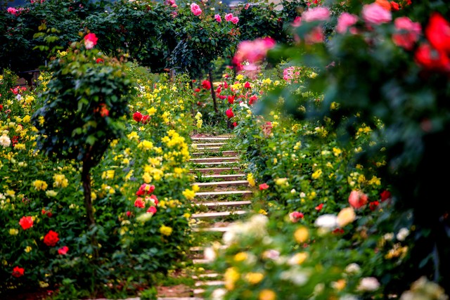 有一种朋友不在身边却在心间语录,有一种爱不在身边却在心间