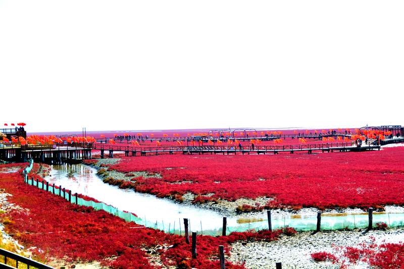 辽宁盘锦在哪个地方,去盘锦旅游哪里好