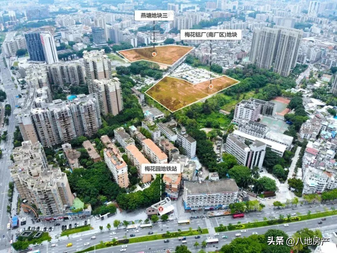 不抛弃不放弃！第四次土拍还要来，挖到了几条内幕