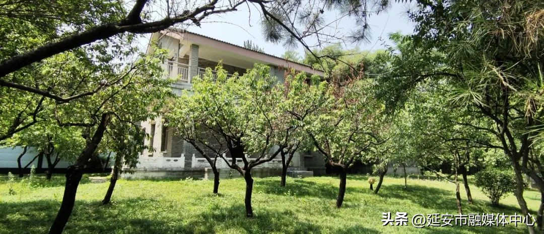 陕西宾馆迎来最佳观花赏景季节,陕西宾馆内景色