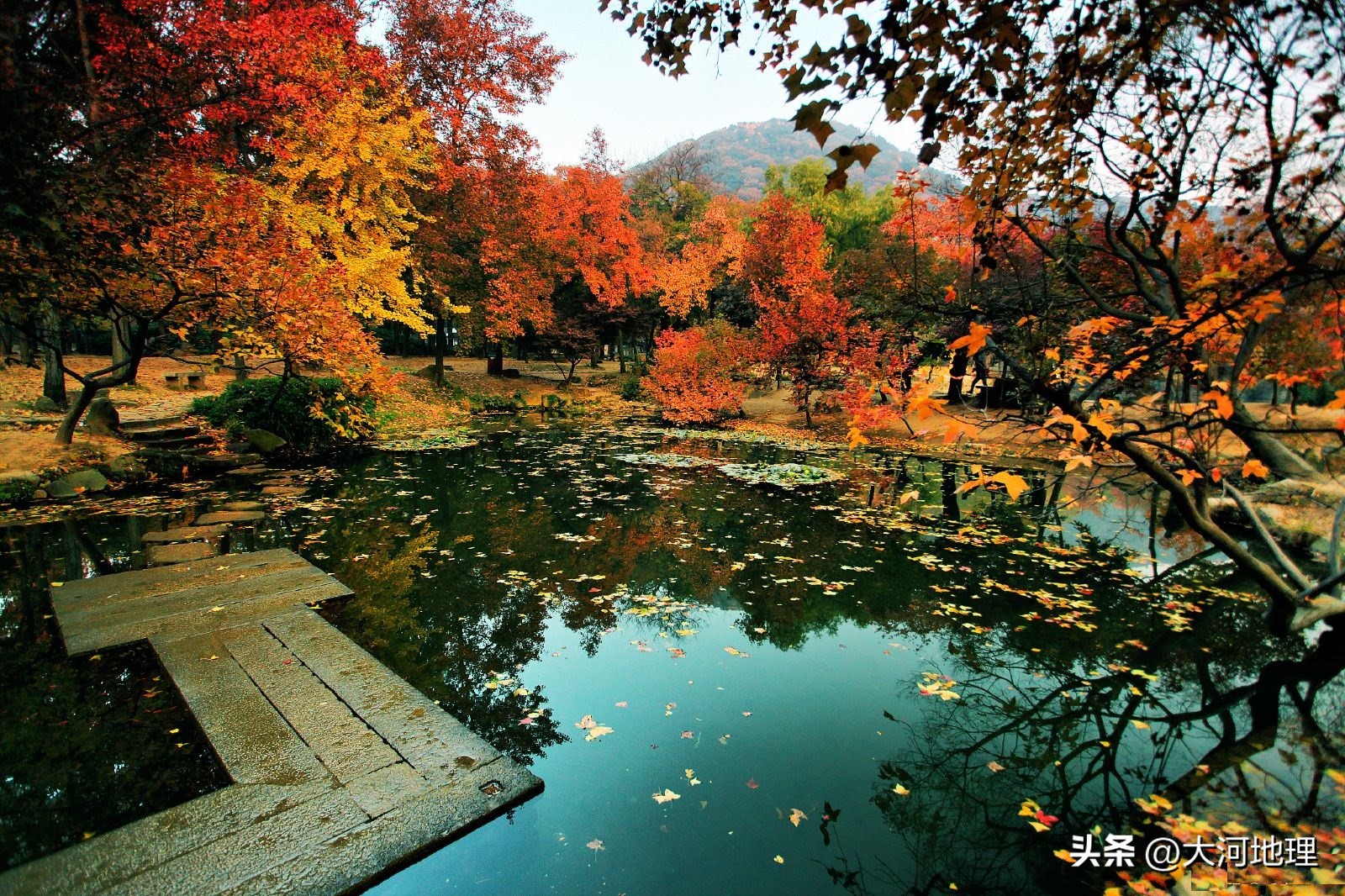 中国南方这30个景点,难说多知名,但敢说它的秋色最艳最浪漫