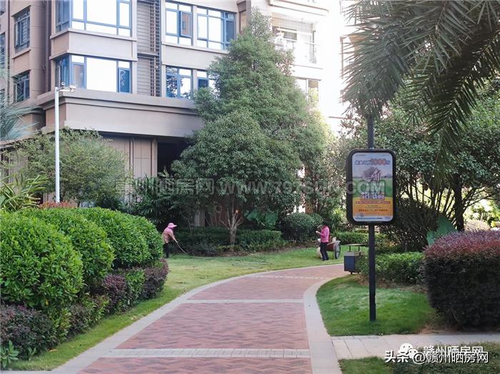 保姆房入户电梯,保姆电梯房