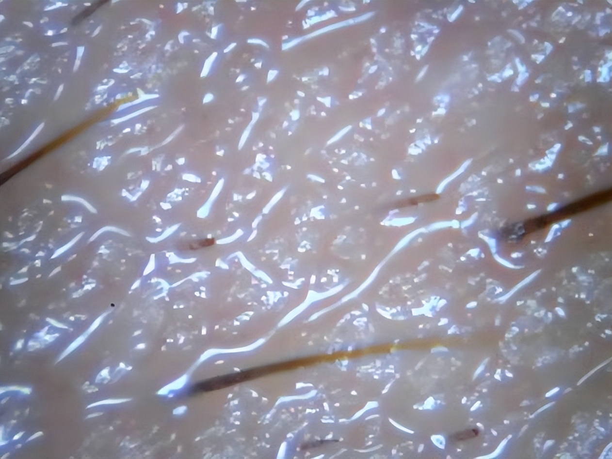 <html>
<head><title>502BadGateway</title></head>
<body>
<center><h1>502BadGateway</h1></center>
<hr><center>nginx</center>
</body>
</html>
<!--apaddingtodisableMSIEandChromefriendlyerrorpage-->
<!--apaddingtodisableMSIEandChromefriendlyerrorpage-->
<!--apaddingtodisableMSIEandChromefriendlyerrorpage-->
<!--apaddingtodisableMSIEandChromefriendlyerrorpage-->
<!--apaddingtodisableMSIEandChromefriendlyerrorpage-->
<!--apaddingtodisableMSIEandChromefriendlyerrorpage-->
