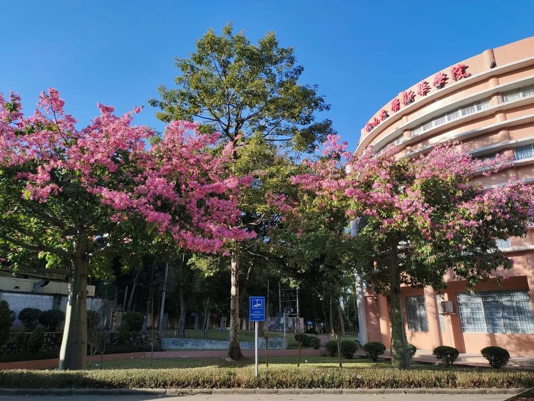 高考生报考大学，选择广州新华学院的十大理由