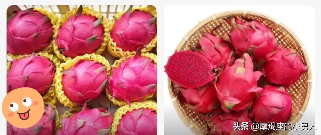 红心火龙果和白心火龙果的热量,白心和红心火龙果哪个通便好些