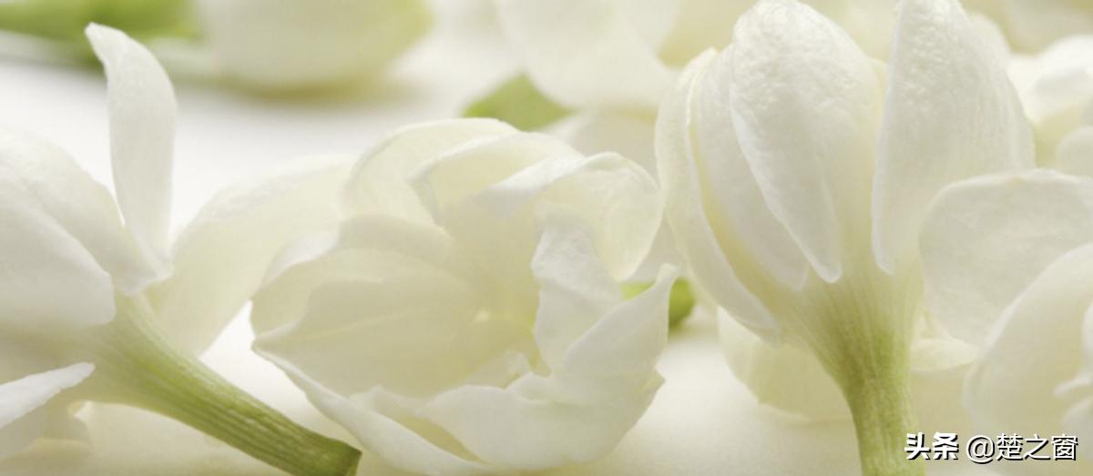 雅芳小黑裙粉色走珠,雅芳走珠止汗露小黑裙