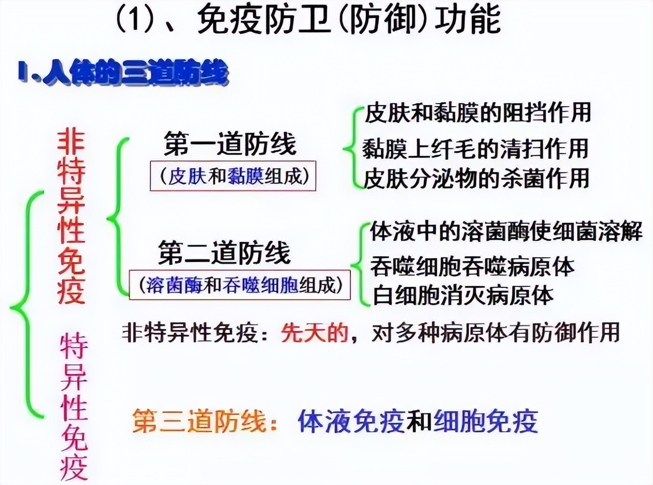 高中生物免疫失调知识点讲解视频,高中生物免疫调节