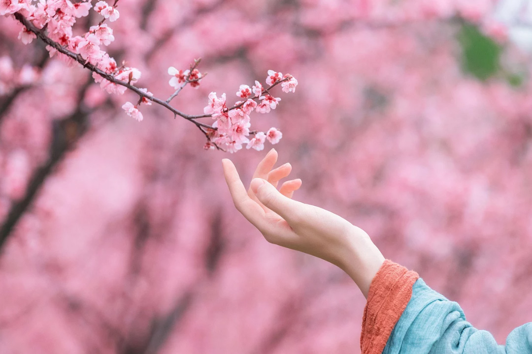 掬水月在手，弄香花满衣。诗词里的氤氲香气，温柔美好，岁月留芳