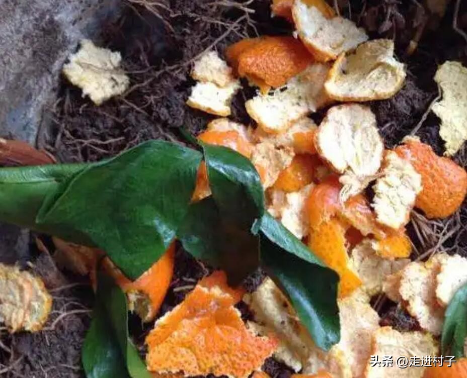 如何自制酵素水,自制酵素水的使用方法