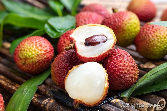 扩招了！岭南这所大学值得广东考生关注