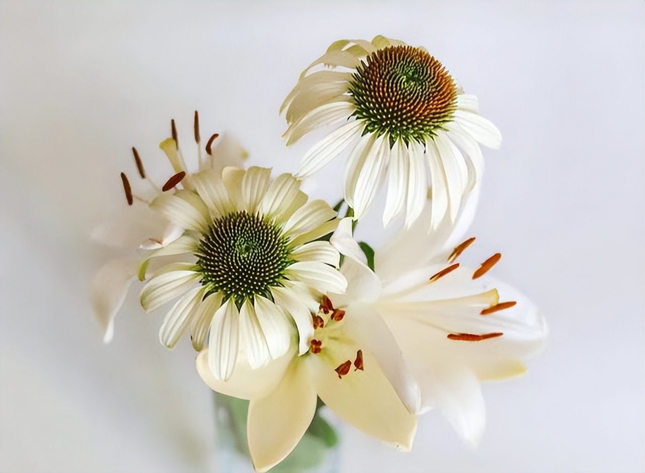 没有爱情的婚姻就别浪费生命,没有爱情的婚姻怎么继续下去