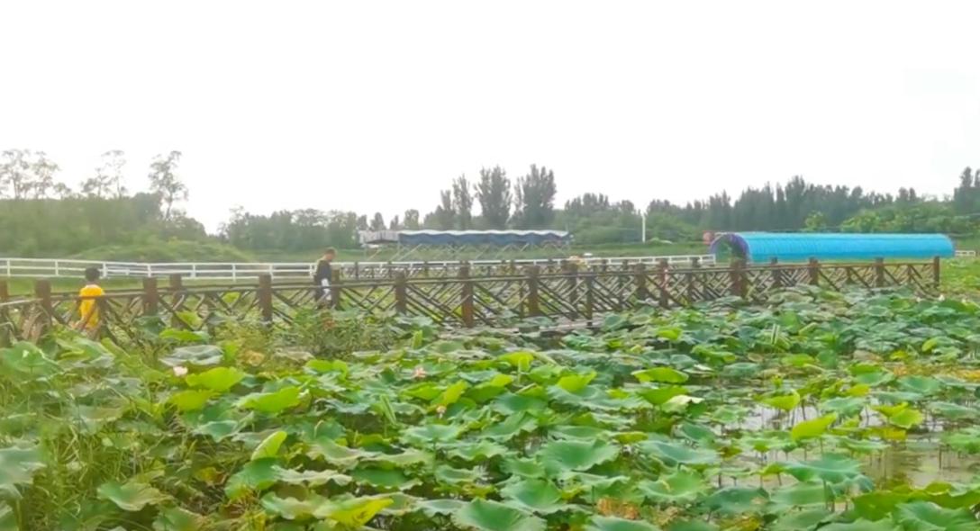 郑州周边十一亲子游最佳地点推荐,五一亲子游推荐郑州