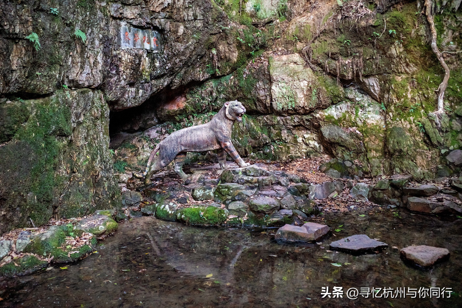 杭州三大景观古建筑,杭州三大名茶