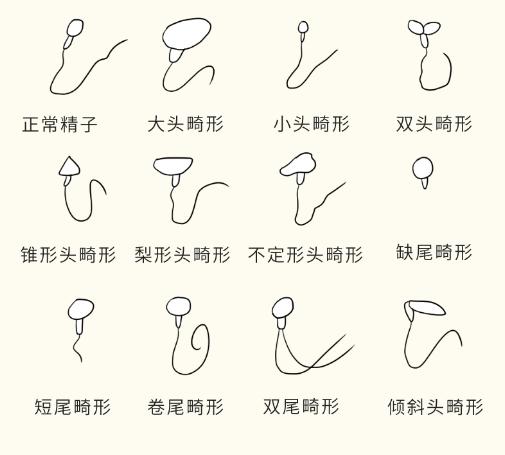 羞耻又湿漉漉的男性小知识…又增加了！（女生必看）