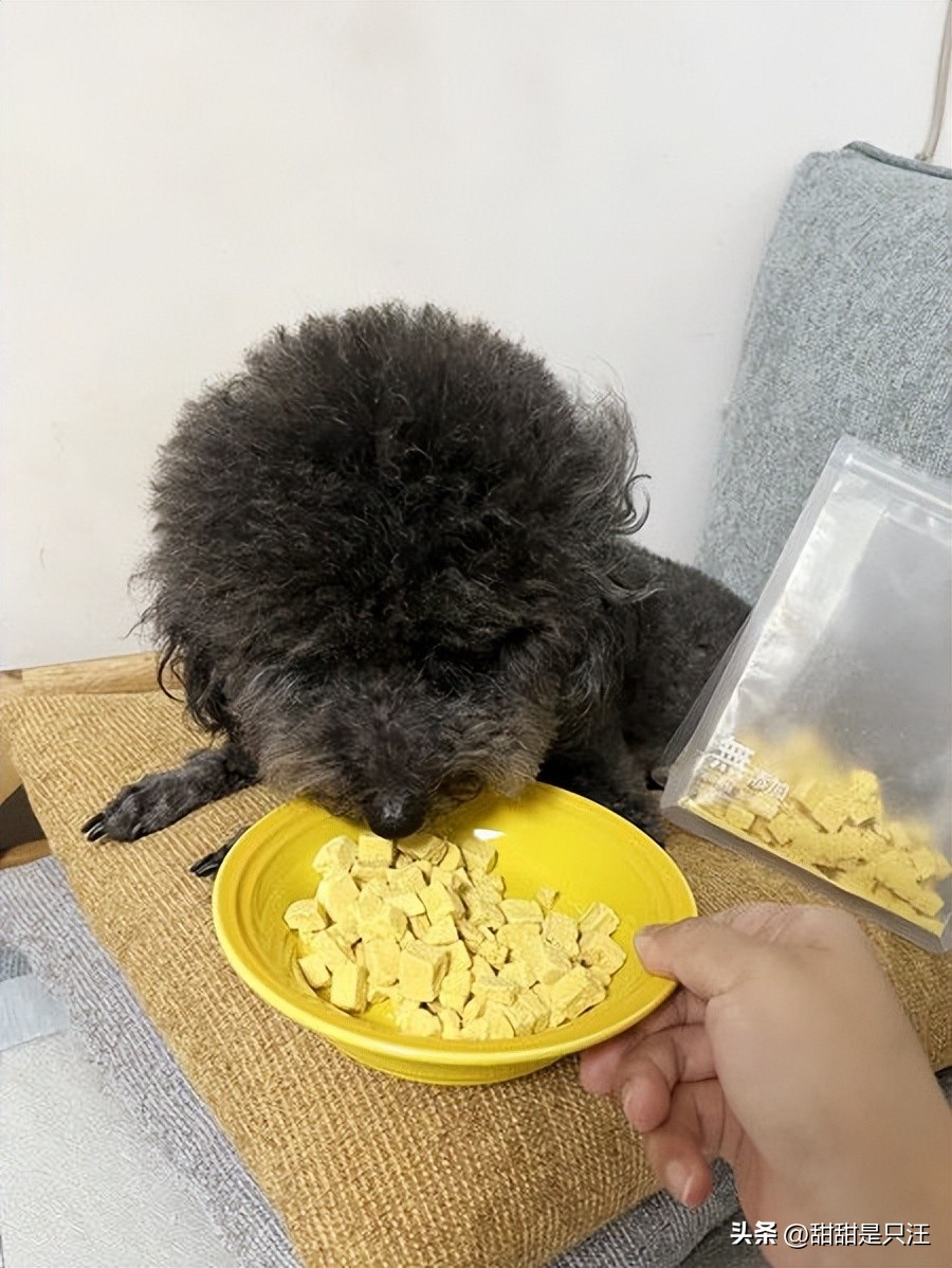 狗零食最好的牌子,6大狗零食种类分析测评