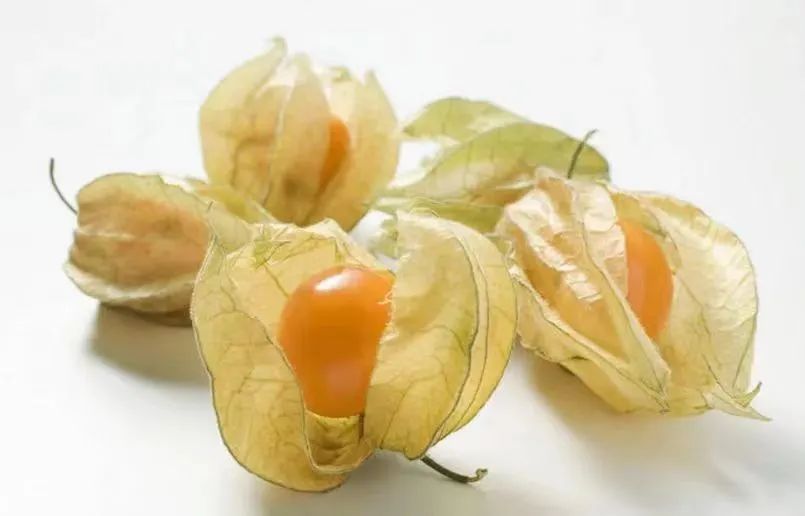 野果“洛神珠”在鄂州有个土得掉渣的名字叫做“灯笼泡”