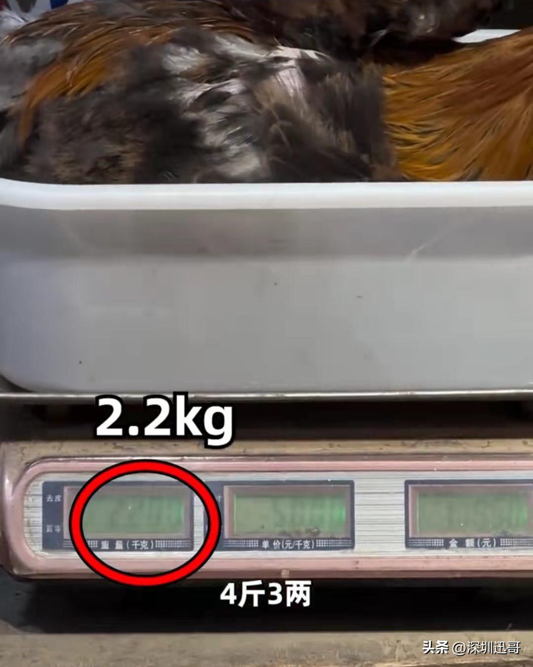 长沙：买三只螃蟹坑112元，网友：公开的秘密！