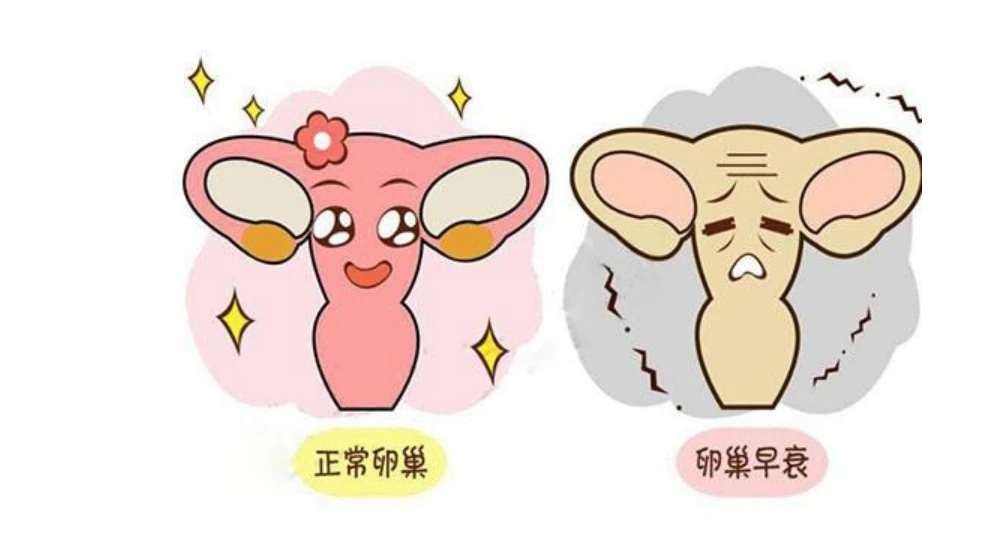 女性全切除子宫对夫妻有影响吗,切除子宫有影响夫妻和谐吗