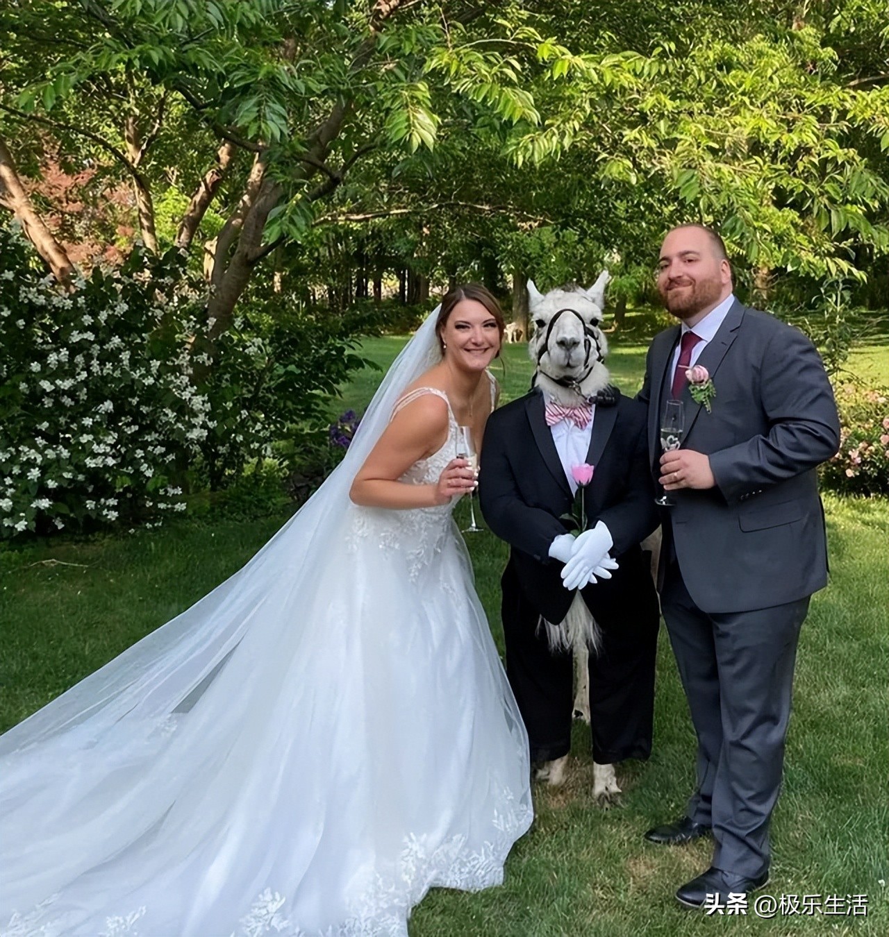 炎炎夏日给您带来视觉上的凉爽,发几张夏天炎热的图片