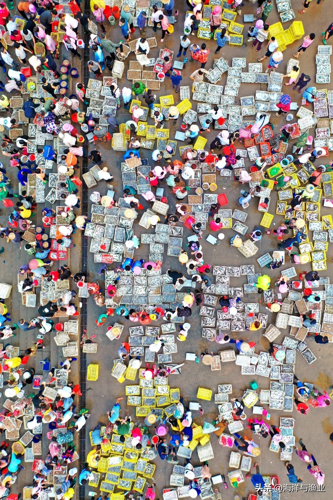 中国渔业海鲜之都,海鲜水产哪几个地方最出名