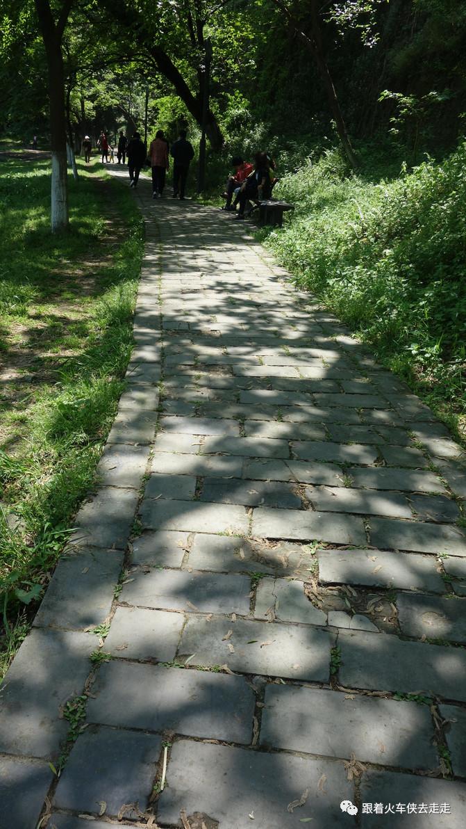 南京城墙下的琵琶湖,南京旅游先看城墙还是先看玄武湖