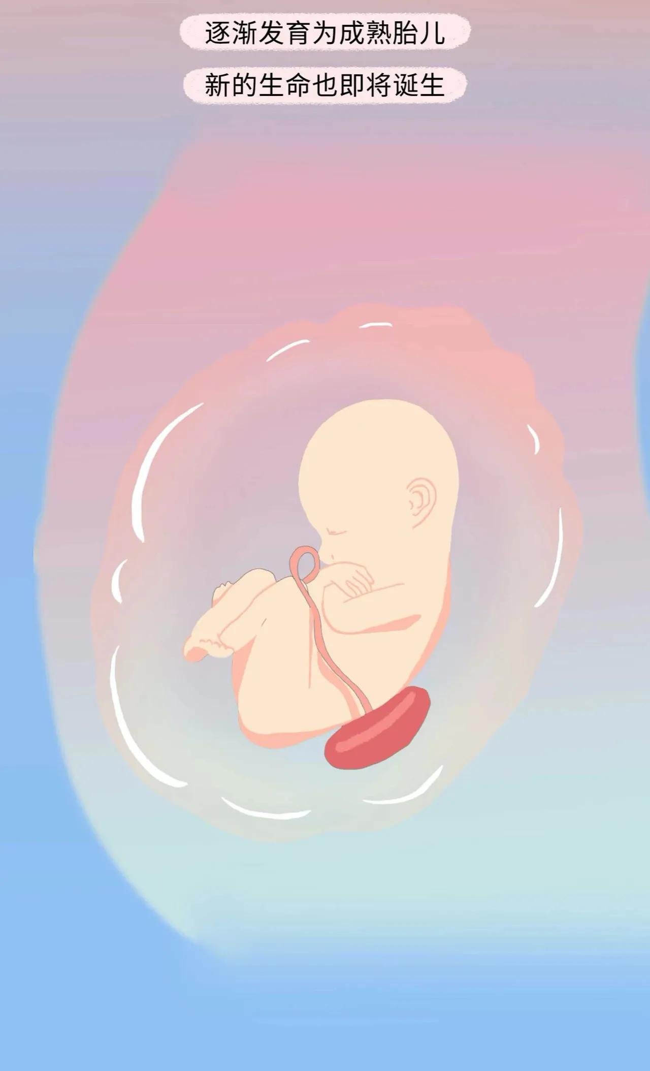 精子进入女生体内的全过程曝光！太励志了吧！