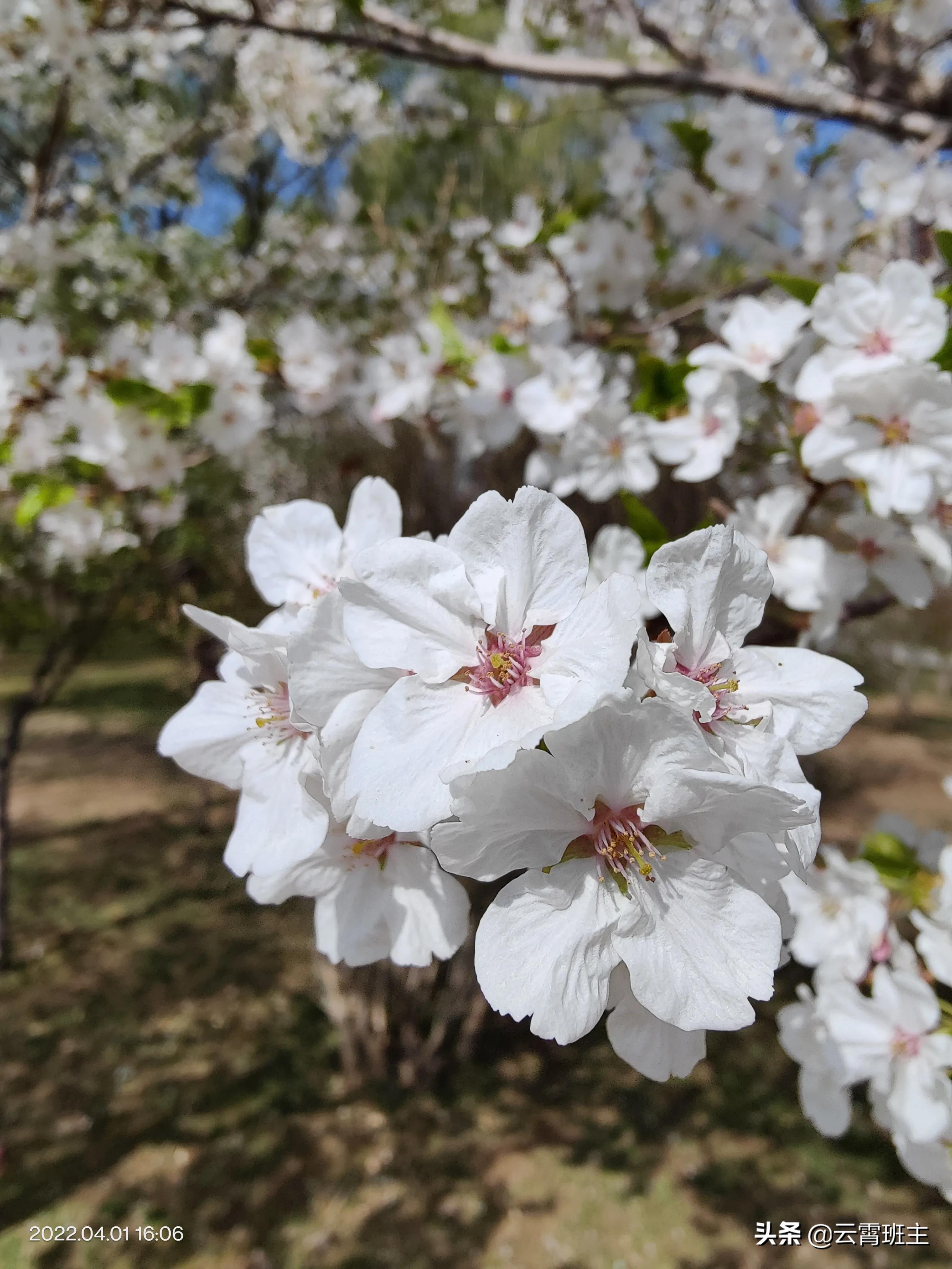 2022年兰州中考成绩多少,兰州2022年中考时间安排表