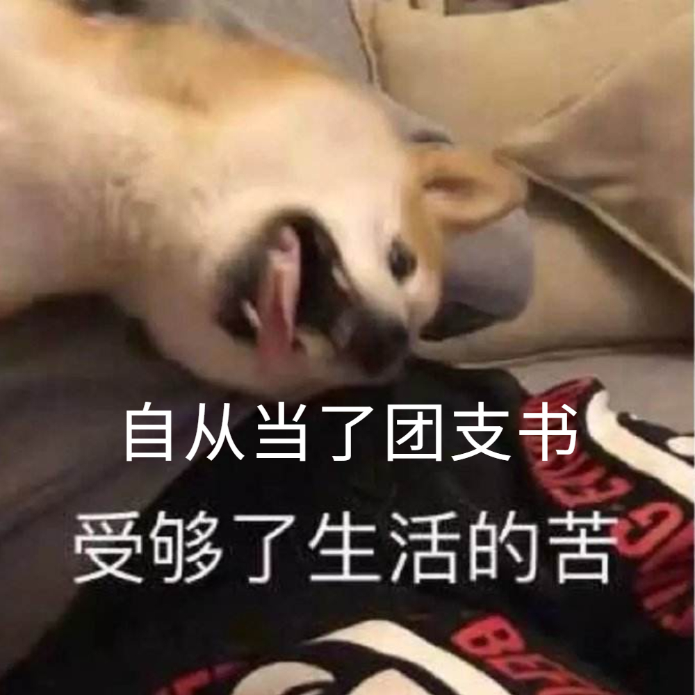 大学团支书忙的文案,团支书培训朋友圈文案