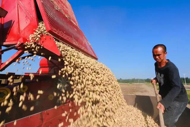 热烈庆祝第四届农民丰收节,丰收节农民丰收感言