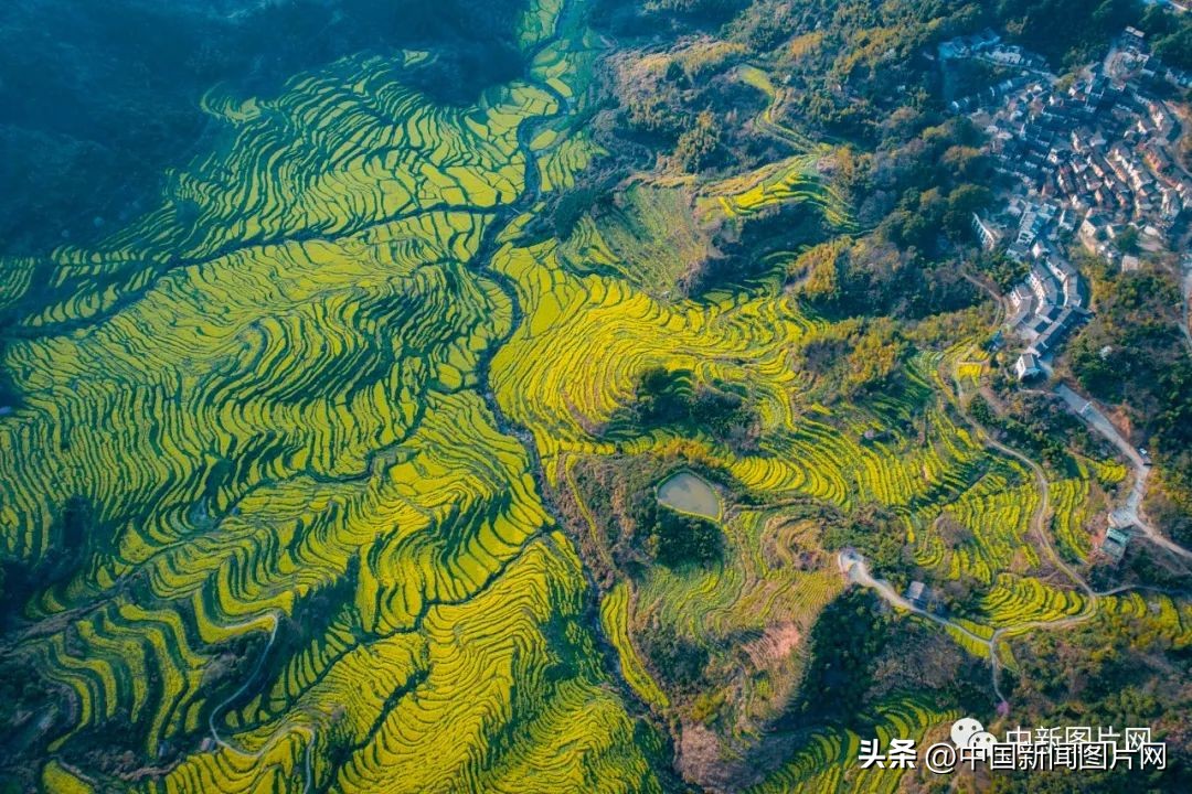 招募！荷赛大师带您记录“美丽中国美丽婺源”