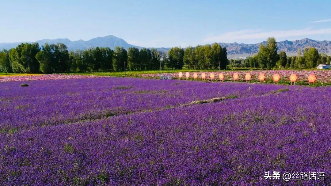 清泉镇双桥村：乡村建设美如画幸福生活踏歌来