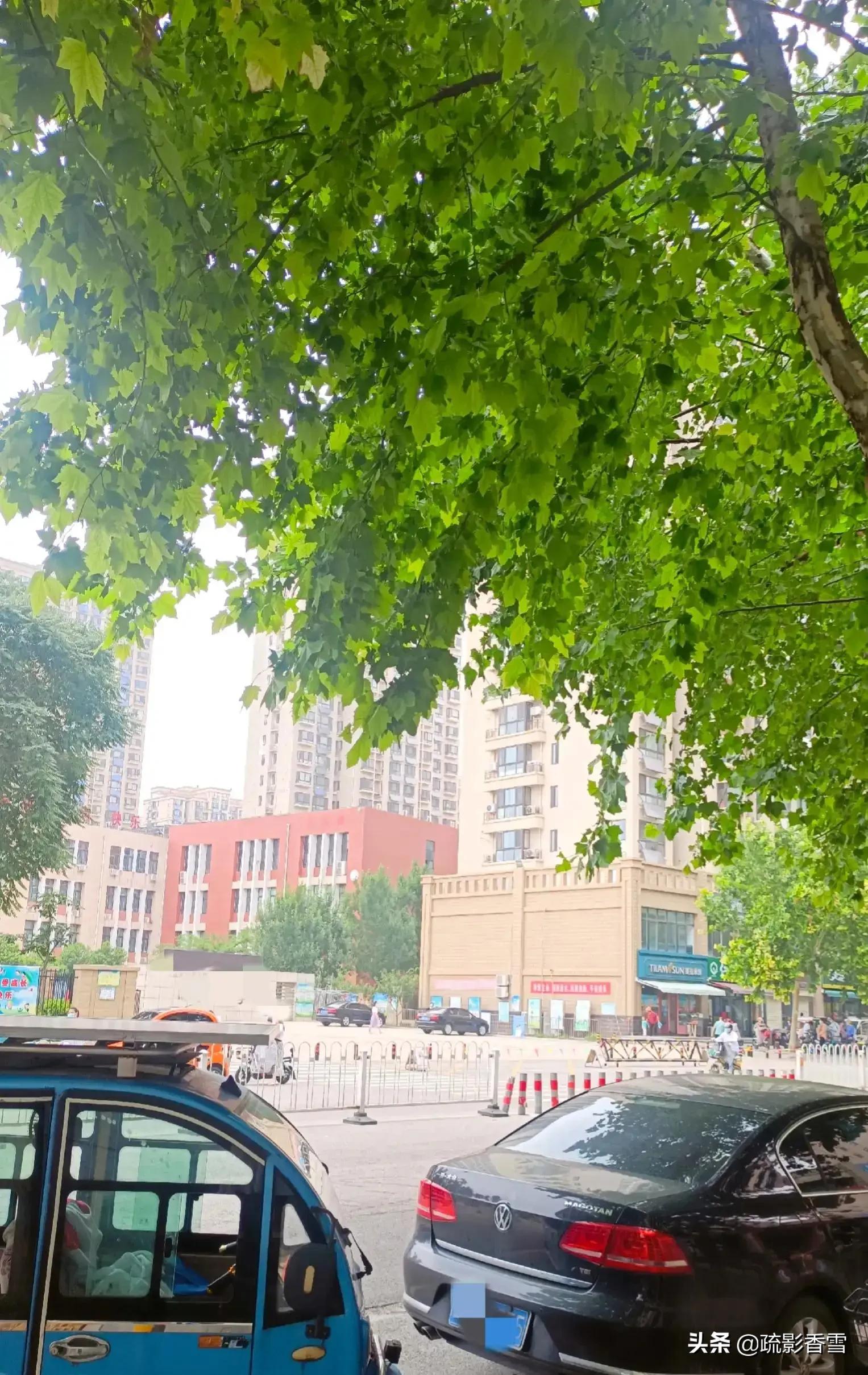 小升初优录的学生成绩好吗,小升初生源类别有区别吗